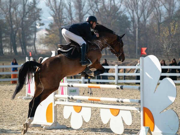 Le conditionnement physique pour le basket en salle